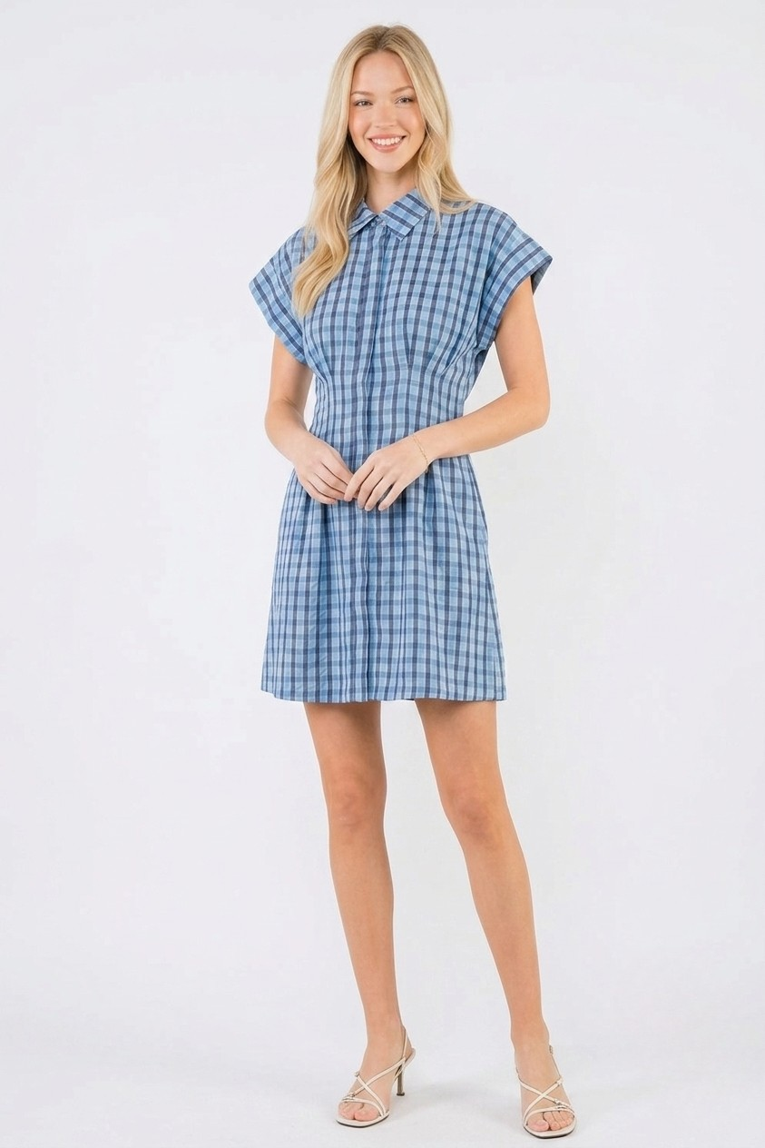 Blair mini dress in blue