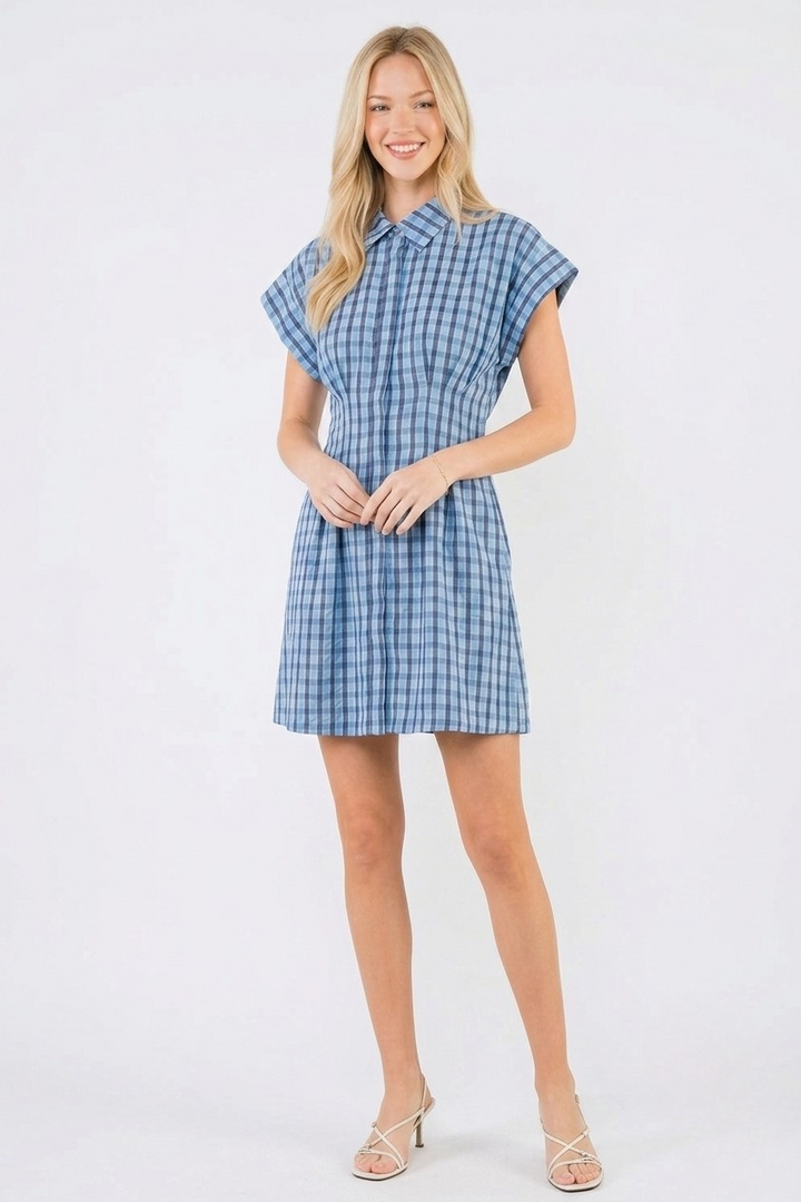 Blair mini dress in blue