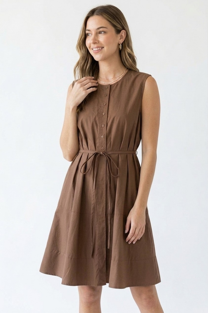 Lainey mini dress in brown