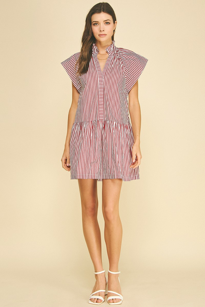 Aria mini stripe dress in red