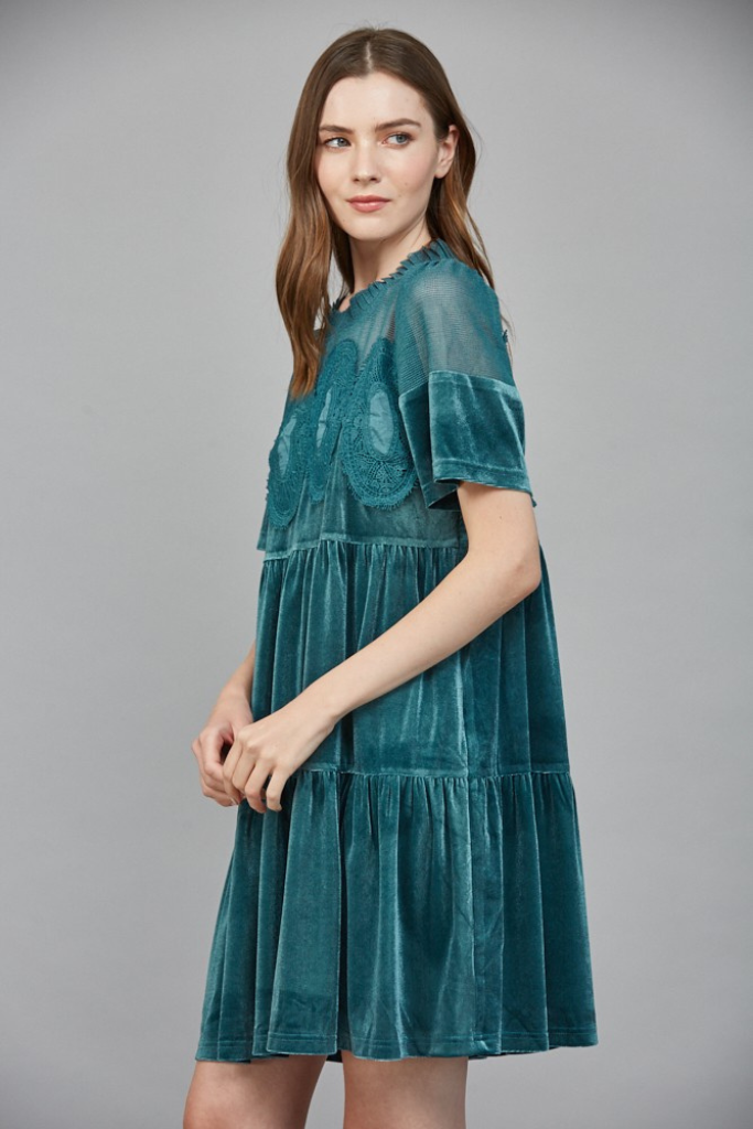 Alicia velvet dress