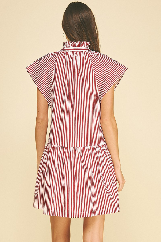 Aria mini stripe dress in red