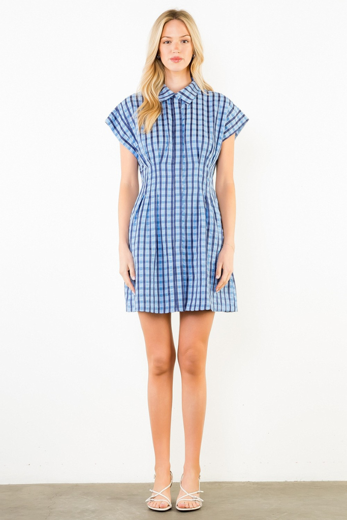 Blair mini dress in blue