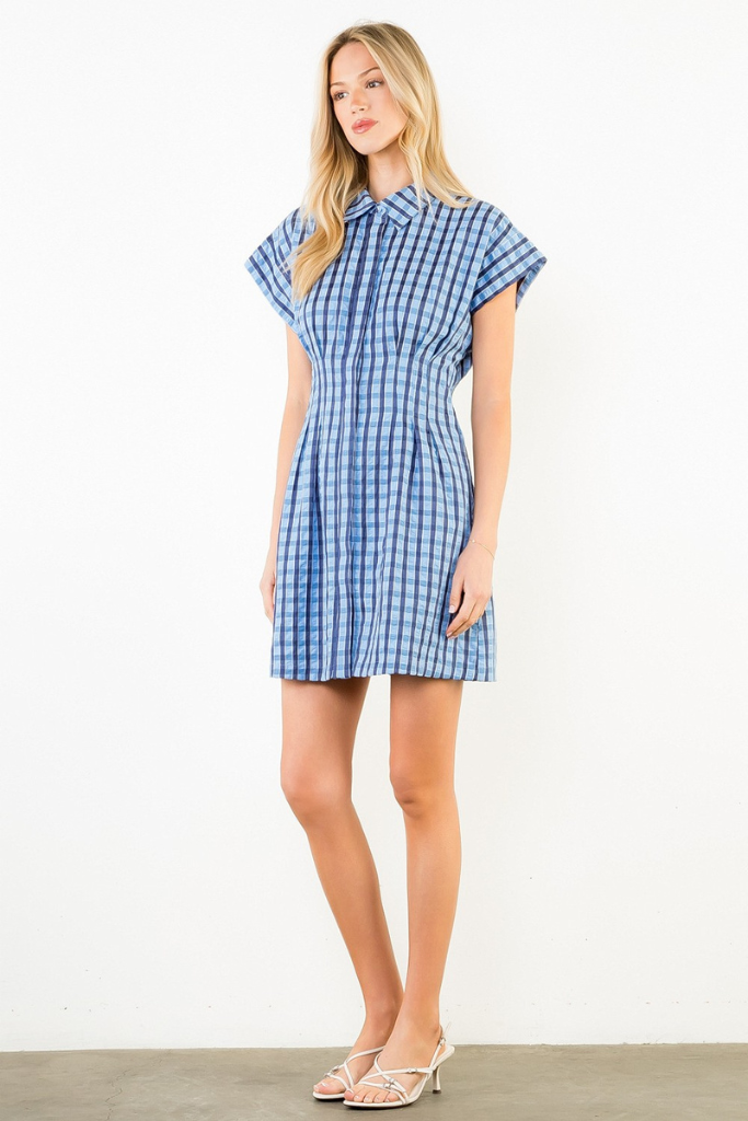 Blair mini dress in blue