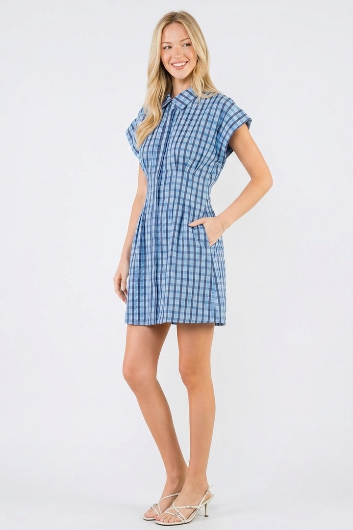 Blair mini dress in blue